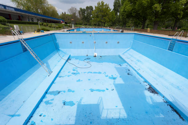 Best Basement water damage restoration  in Florence, CO