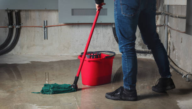 Best Mold removal after water damage  in Florence, CO