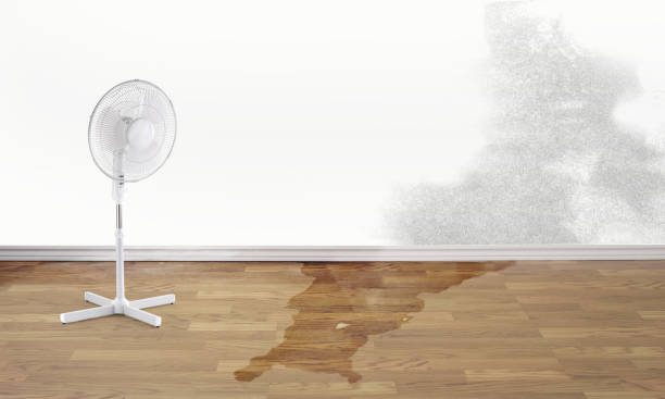 Best 24-hour water damage restoration  in Florence, CO