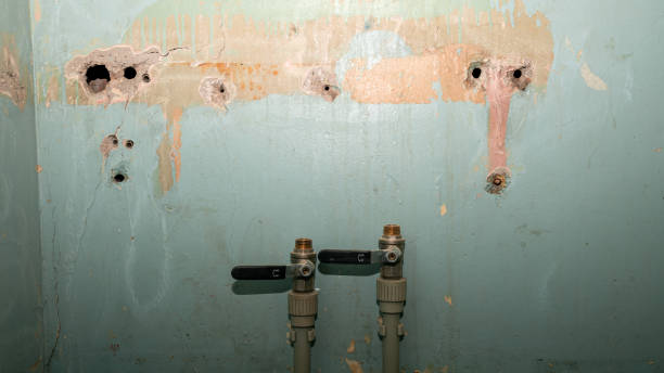 Best Professional water damage repair  in Florence, CO