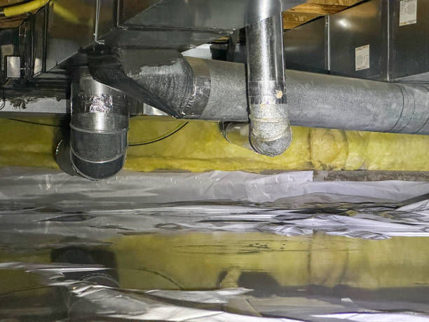 Best Carpet water damage restoration  in Florence, CO